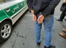 درخت دزدی در شهر ری تهران/ پلیس: ۳نفر دستگیر شدند