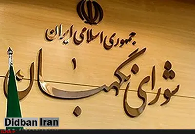 لایحه الحاق ایران به کنوانسیون مبارزه با جرائم سازمان یافته در دستورکار شورای نگهبان