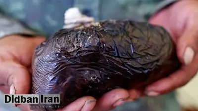 یارانه تریاک چقدر است؟/ مصرف‌کنندگان تریاک هم یارانه سنگین می‌گیرند