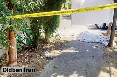 متهم به قتل رییس اسبق پزشکی قانونی: گفتند ۲۰۰ میلیون میدهیم، او را بکش / ۷، ۸ نفر به منزل ما آمدند و تهدیدم کردند که اگر این کار را انجام ندهم همسر و فرزندم را میکشند / میخواستم با آن پول، خانه اجاره کنم