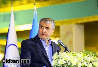 رئیس سازمان انرژی اتمی: جلساتی میان وزارت خارجه و آژانس برای فرایندی که باید اتفاق بیفتد تشکیل شده، نشست سوم هم در پیش است