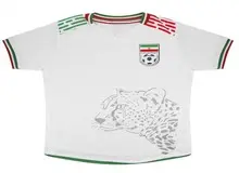 بازگشت یوزپلنگ بر روی پیراهن تیم ملی+عکس