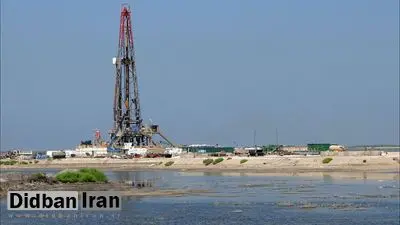 یک اقتصاد دان:  چینی ها بعد از خشک کردن هورالعظیم به جای استخراج نفت ایران برای عراقی ها کار کردند