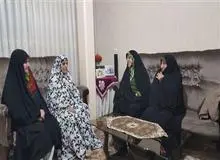 دیدار معصومه ابتکار با مادر شهید امینی