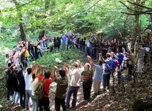 پلیس: ۷۹ عضو یک تور گردشگری مختلط در گیلان را بازداشت کردیم
