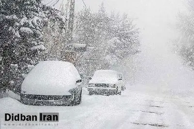 عذرخواهی شهرداری تهران از مجری زن تلویزیون؛ «اپراتور گفت کل تهران همینه و قطع کرد»+عکس