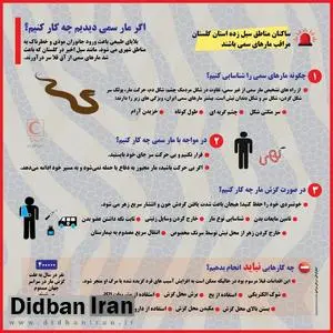 هشدار هجوم مارهای سمی به مناطق سیل زده گلستان/ در صورت مشاهده مار چه کار کنیم؟