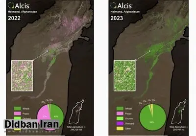 کاهش کشت خشخاش در افغانستان