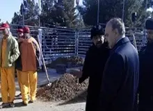 حضور وزیر ورزش در مراسم تشییع شهدای آتش نشان