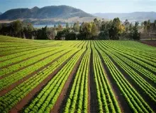 توصیه‌های هواشناسی به کشاورزان