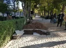 محمدحسین آقاسی: محل دفن استاد شجریان به درخواست فرزندان ایشان تغییر کرد