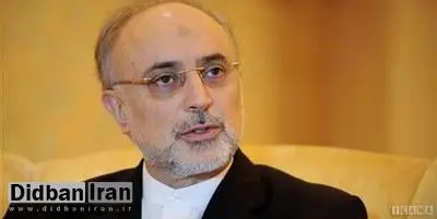 علی اکبر صالحی: ۴ روزه به غنی سازی ۲۰ درصد بازمی گردیم