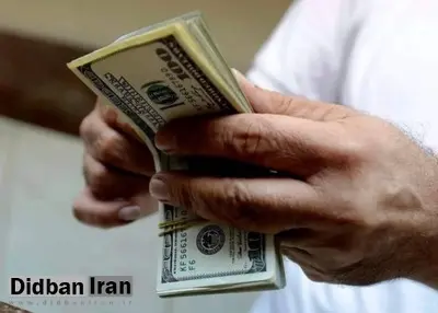 ۲ درخواست دولت از مجلس در مورد حذف ارز ترجیحی / احتمال تدوین لایحه ویژه ارز ۴۲۰۰ تومانی