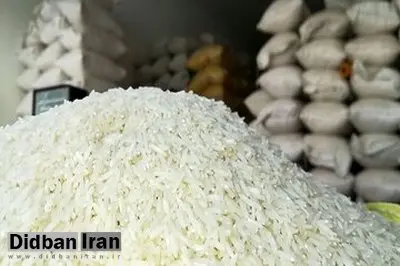 بحران بازار برنج از کجا نشأت می‌گیرد؟/ ۶۰۰ هزار تن برنج پشت دیوار بوروکراسی/ نیاز سالانه کشور چقدر است؟
