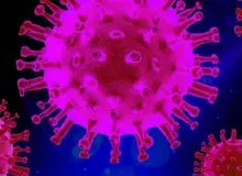 ویروس کرونای فرانسوی هم رسید
