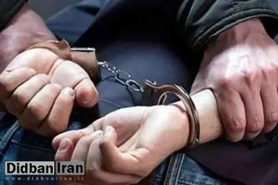 چند شهروند کره جنوبی «به اتهام قاچاق» در ایران بازداشت شدند