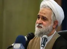 استعفا نداده بودم/به کارم در دانشگاه‌ها ادامه می‌دهم