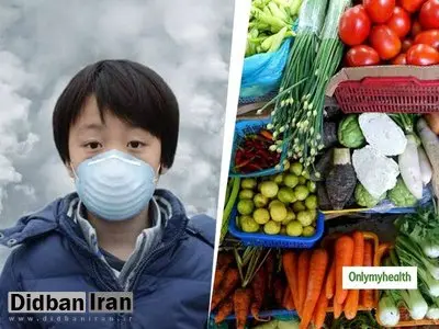 کدام مواد غذایی برای روزهای آلوده سال مناسبترند؟