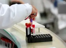 200 نفر در شیراز، فریب یک پیام مجازی را خوردند
