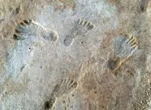 تأیید قدیمی‌ترین ردپا‌های آمریکا؛ انسان‌ها ۲۳ هزار سال پیش در جهان جدید زندگی می‌کردند