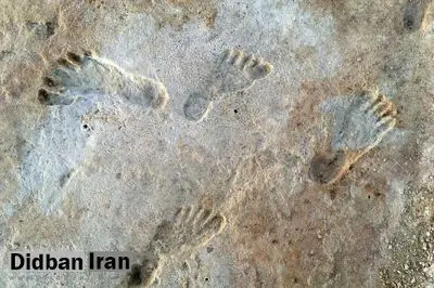 تأیید قدیمیترین ردپاهای آمریکا؛ انسانها ۲۳ هزار سال پیش در جهان جدید زندگی میکردند