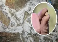 رونمایی از ذخایر عظیم طلا که سال‌ها پنهان مانده بود / فوران طلا از دل زمین