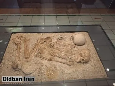 ماجرای کشف اسکلت ۳ هزار ساله در بابل