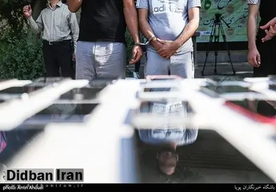 دلایل افزایش سرقت لباس، کفش، دستگیره آپارتمان و آیفون از منظر ی جامعه شناس/ فقر گسترش پیدا کرده است