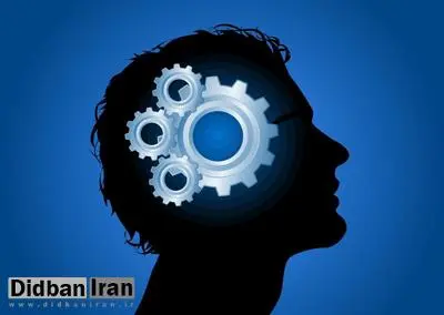 بهبود 13 پله ای رتبه کارآفرینی ایران در جهان