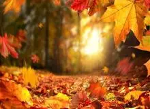 معرفی ۳ شهر برای مسافرت های پاییزی