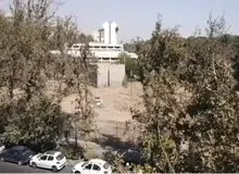 واکنش مدیر موزه فرش به خبر قطع درختان در این موزه: فقط سه چنار خشک‌شده را حذف کردیم