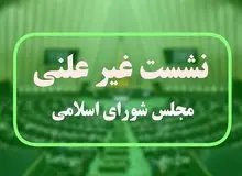 جزئیات نشست غیرعلنی مجلس و دولت با حضور پزشکیان/ گودرزی: امید بخش و راهگشا بود
