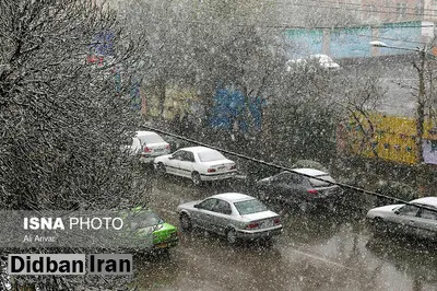 نمی‌توان برف را در هوا با تیر زد! / مردم بدون بخاری و برف پاک‌کن وارد خیابان‌ها شدند و باعث مشکلات شد!/  برودت هوا در سطح شهر در حد یخبندان نیست
