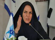 نماینده مجلس دهم: تاب‌آوری مردم به حداقل میزان خودش رسیده است/ مسئولان باید روزی هزار بار از مردم تشکر کنند