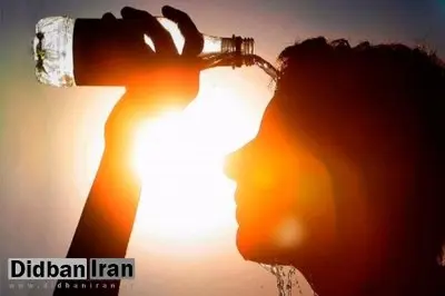 گرمای هوا در استان بوشهر تداوم دارد؛ رسیدن دما به ۵۰ درجه