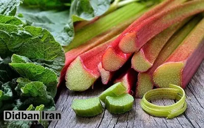 کبد خود را با این گیاه ترش مزه پاکسازی کنید