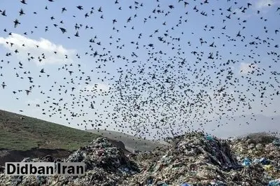 مدیرعامل پسماند: روزانه ورودی زباله به آرادکوه نزدیک به ۶ هزار تن زباله غیرارزشمند است / گاز متان وجود دارد و نمیتوان آن را انکار کرد