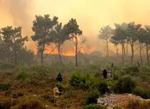 حریق در جنگل‌های الیت چالوس؛ نماینده نوشهر: آتش‌سوزی در ابتدا مثل لکه، کوچک بود؛ گفتند با جوامع محلی جمع‌ و جور می‌شود