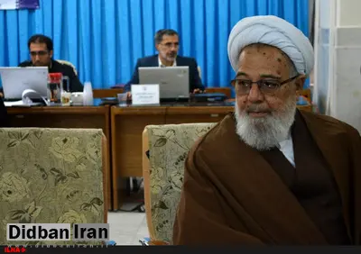 آیتالله ممدوحی: فراخوان عمومی برای اصلاح و تکمیل روندهای دستگاه قضا مناسب نیست