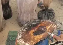 آزمایشگاه سیار کنترل کیفیت تریاک در افغانستان+ فیلم 