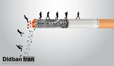 مرگ سالانه بیش از ۵۰ هزار نفر در ایران بر اثر مصرف دخانیات