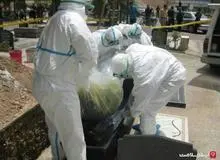 تب کریمه کنگو در ثلاث باباجانی