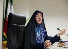 فرامرزیان انحلال شورای عالی اصلاح طلبان را تکذیب کرد


