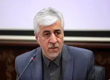 توضیح وزیر ورزش به وضعیت الناز رکابی: تک تک ورزشکاران در آغوش میهن هستند +ویدیو