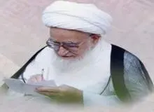 آیت الله صافی گلپایگانی از ریاست دادگاه قانون اساسی اتریش تشکر کرد
