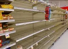 معاون وزیر صمت اعلام کرد: ۸۸ کشور صادرات غذا را ممنوع کرده‌اند