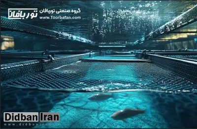 چگونه از رشد میکروب‌های مضر روی تور قفس پرورش ماهی جلوگیری کنیم؟