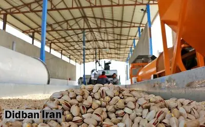 ممنوعیت واردات پسته ایران به این کشور تایید شد