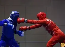 فرد مهاجم به فدراسیون ووشو بازداشت شد