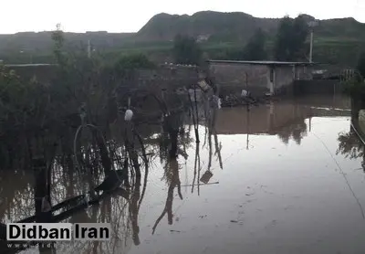 یک روستا در جنوب خراسان رضوی تخلیه شد
